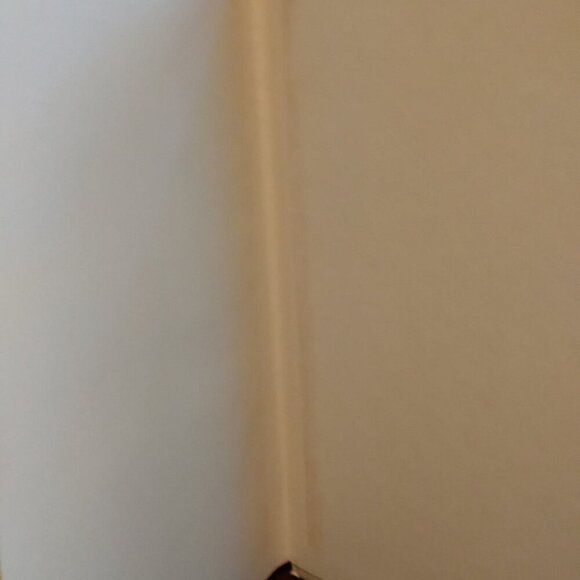 The New Joys Of Jell-O Recipe Book - Picture 12 of 13